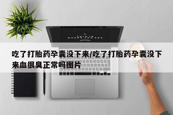 哪个网店有打胎药卖吃了打胎药孕囊没下来/吃了打胎药孕囊没下来血很臭正常吗图片